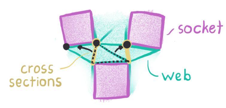 The vertices of the neighboring triangles and chosen cross sections